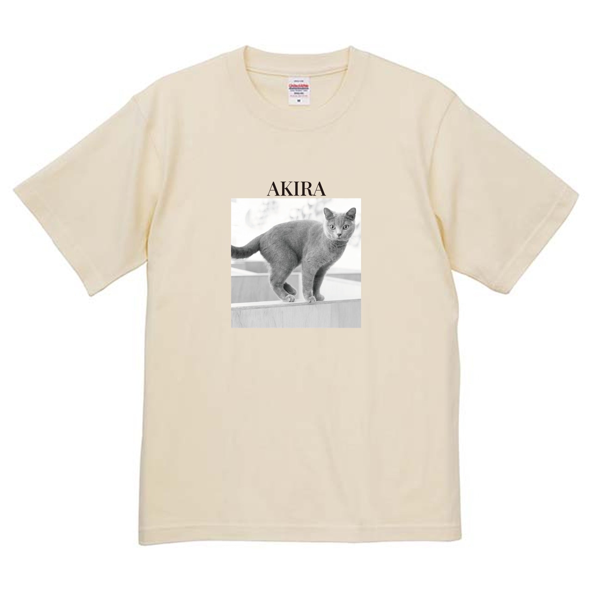 019