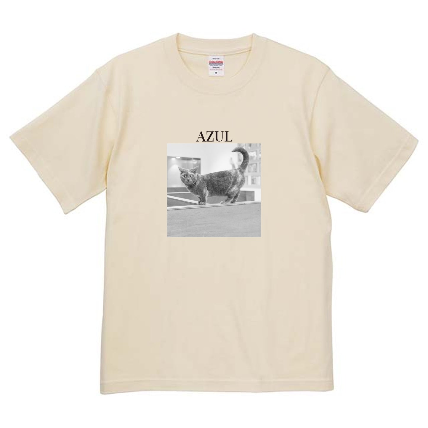 019