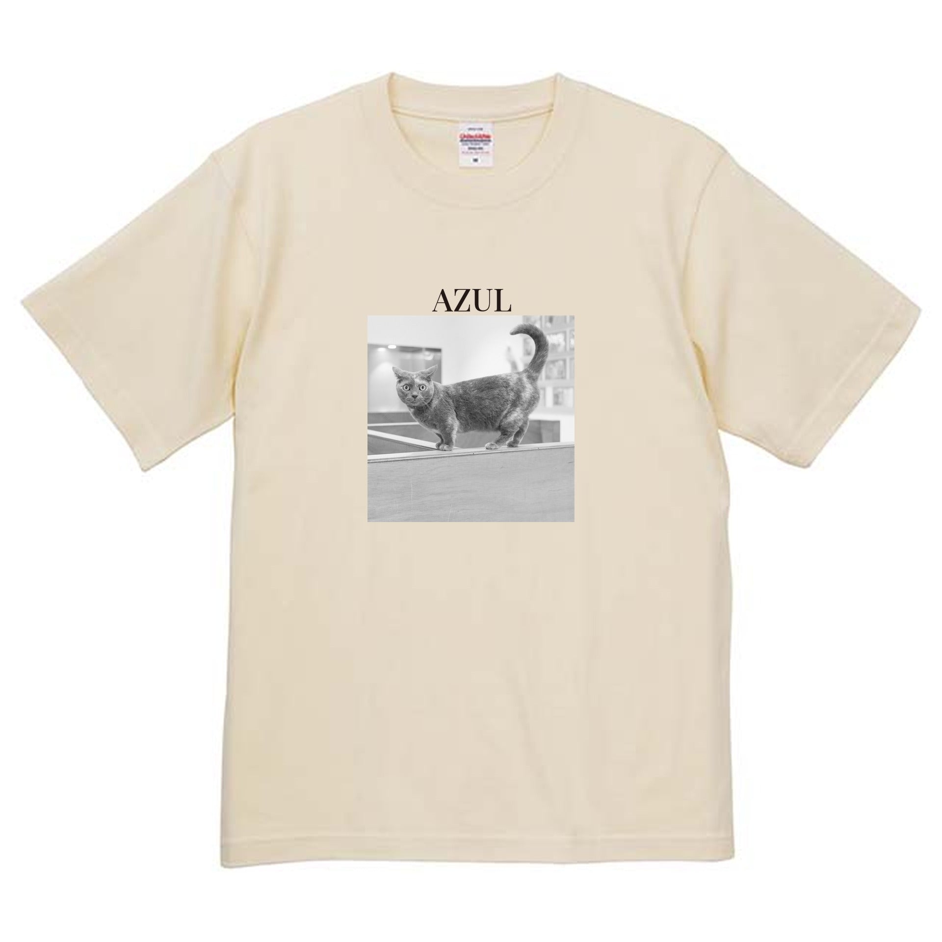 019