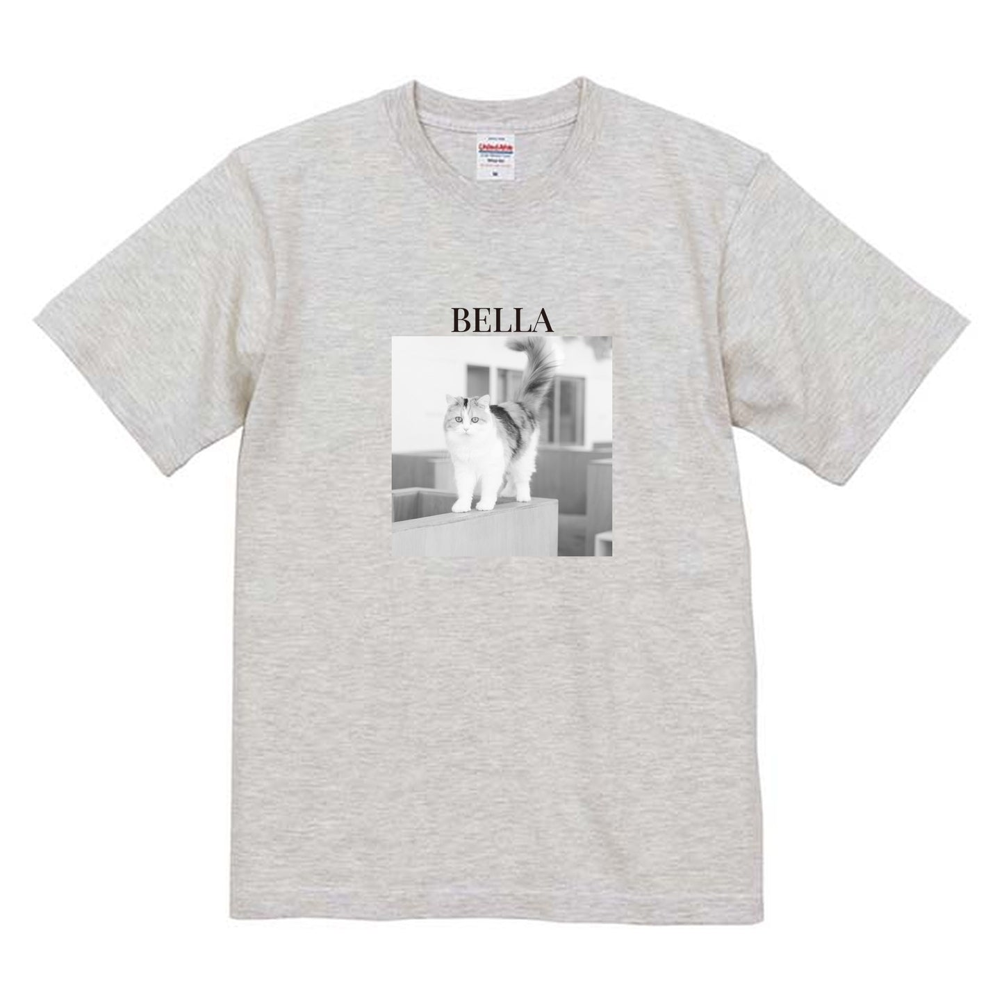 009