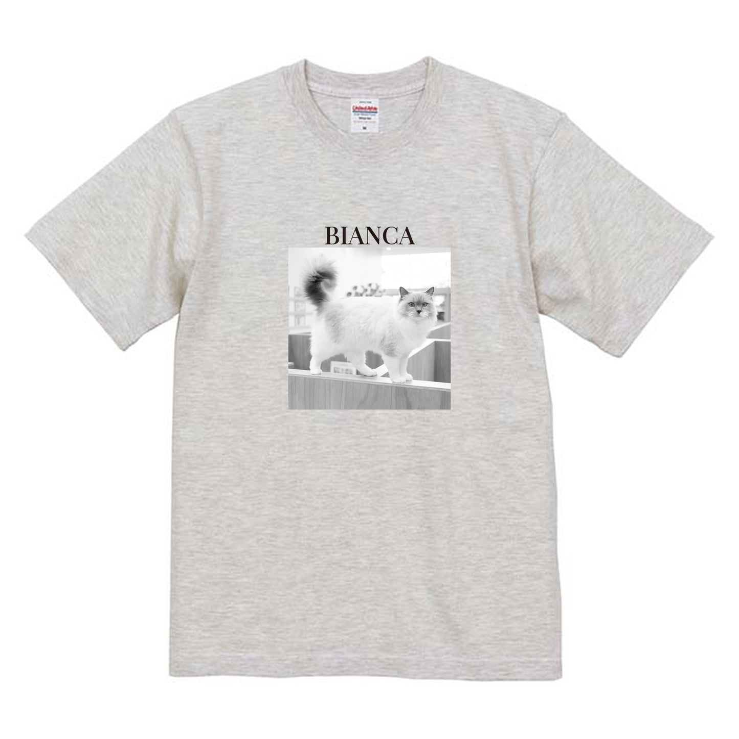 009