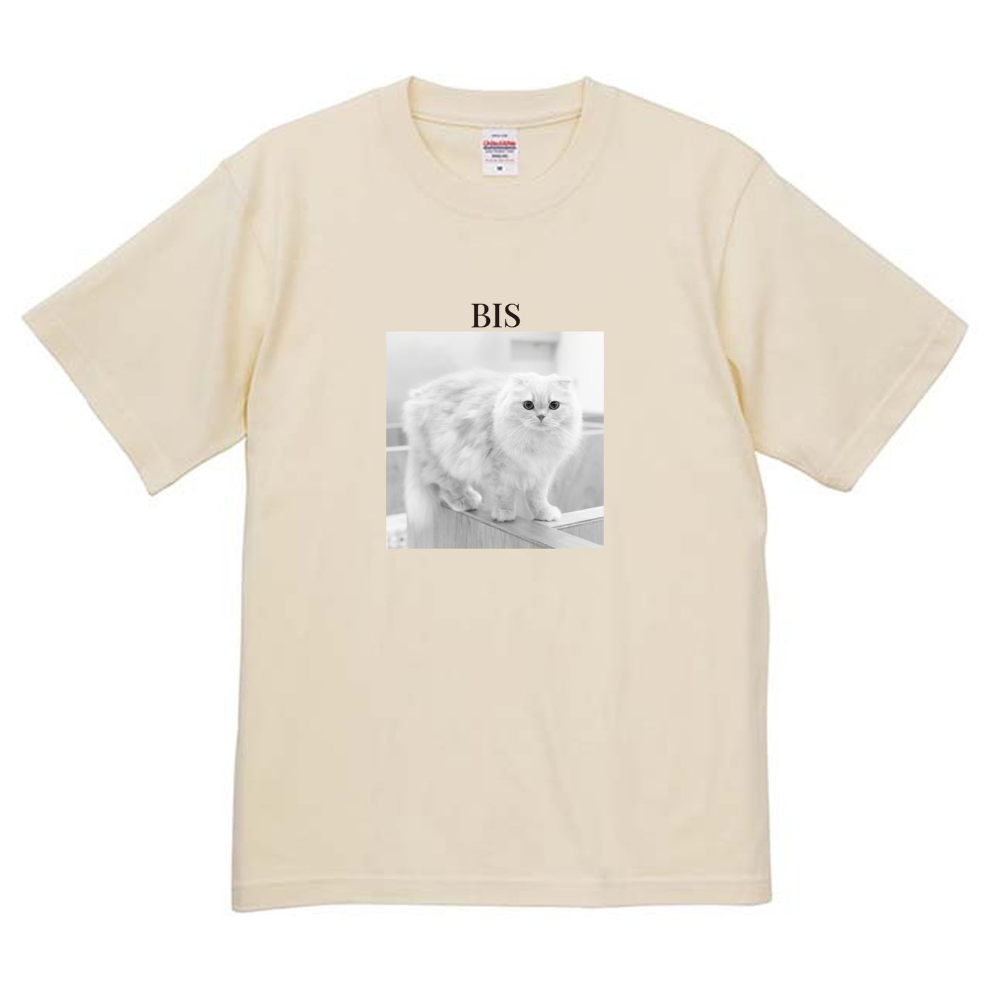 019