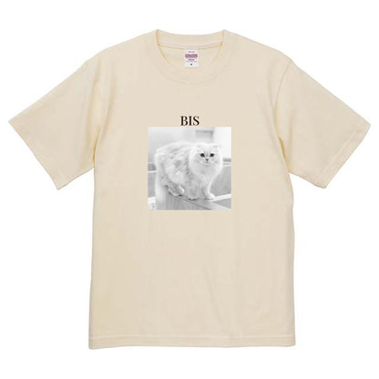019
