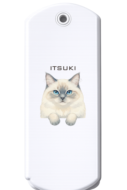 クローズ