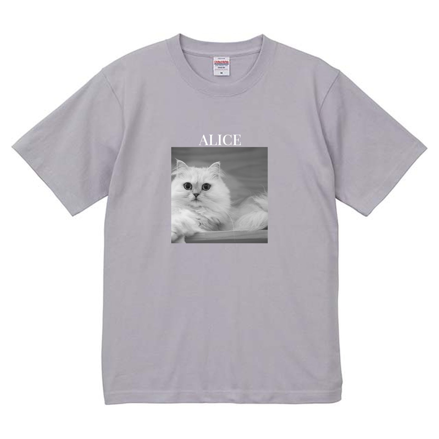 427