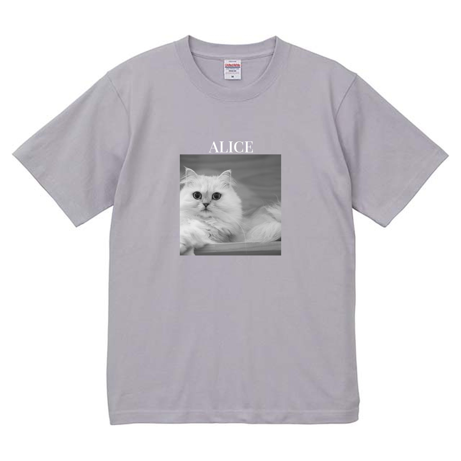427