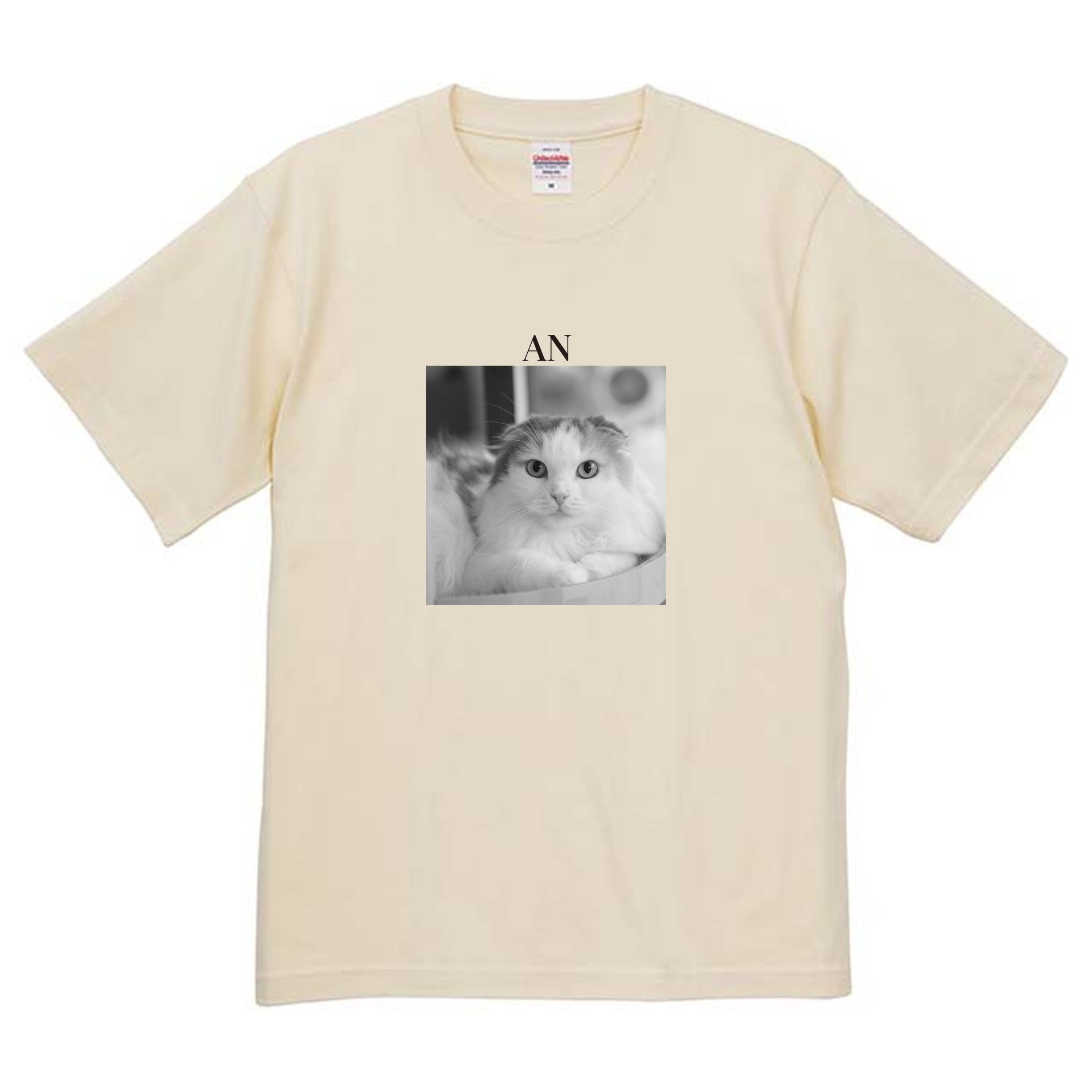 019