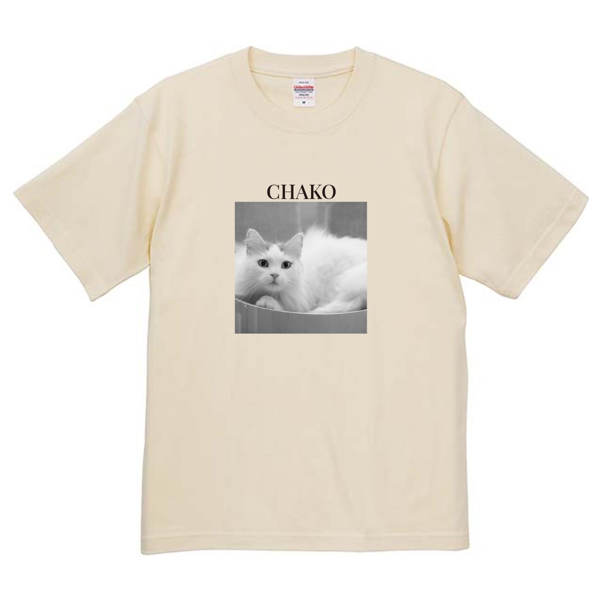 019
