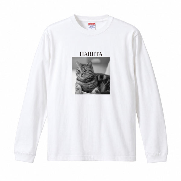 晴太 コットンロングTシャツ