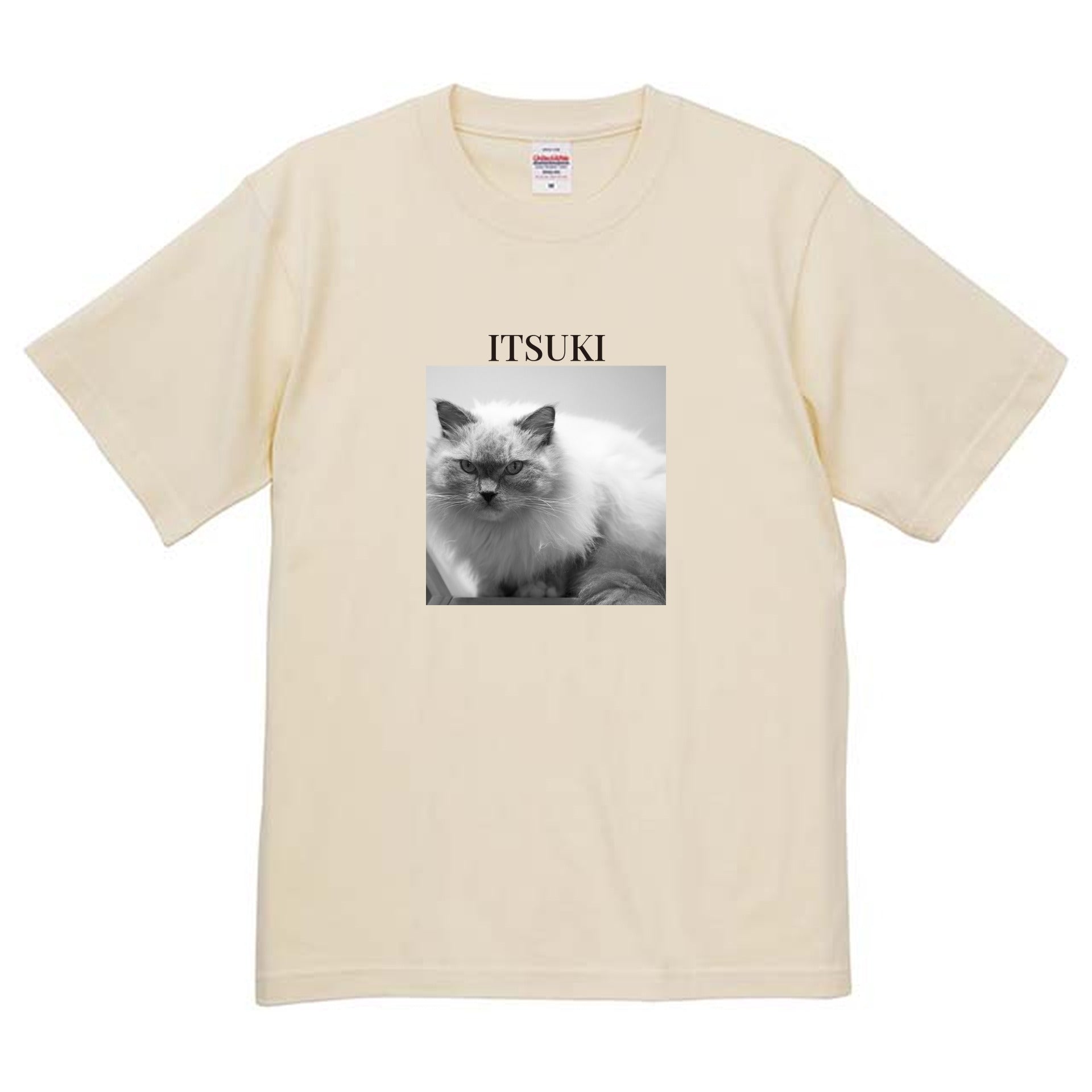 019