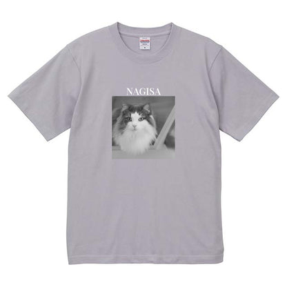 427