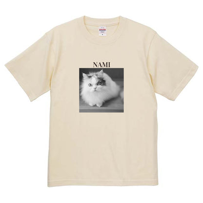 019