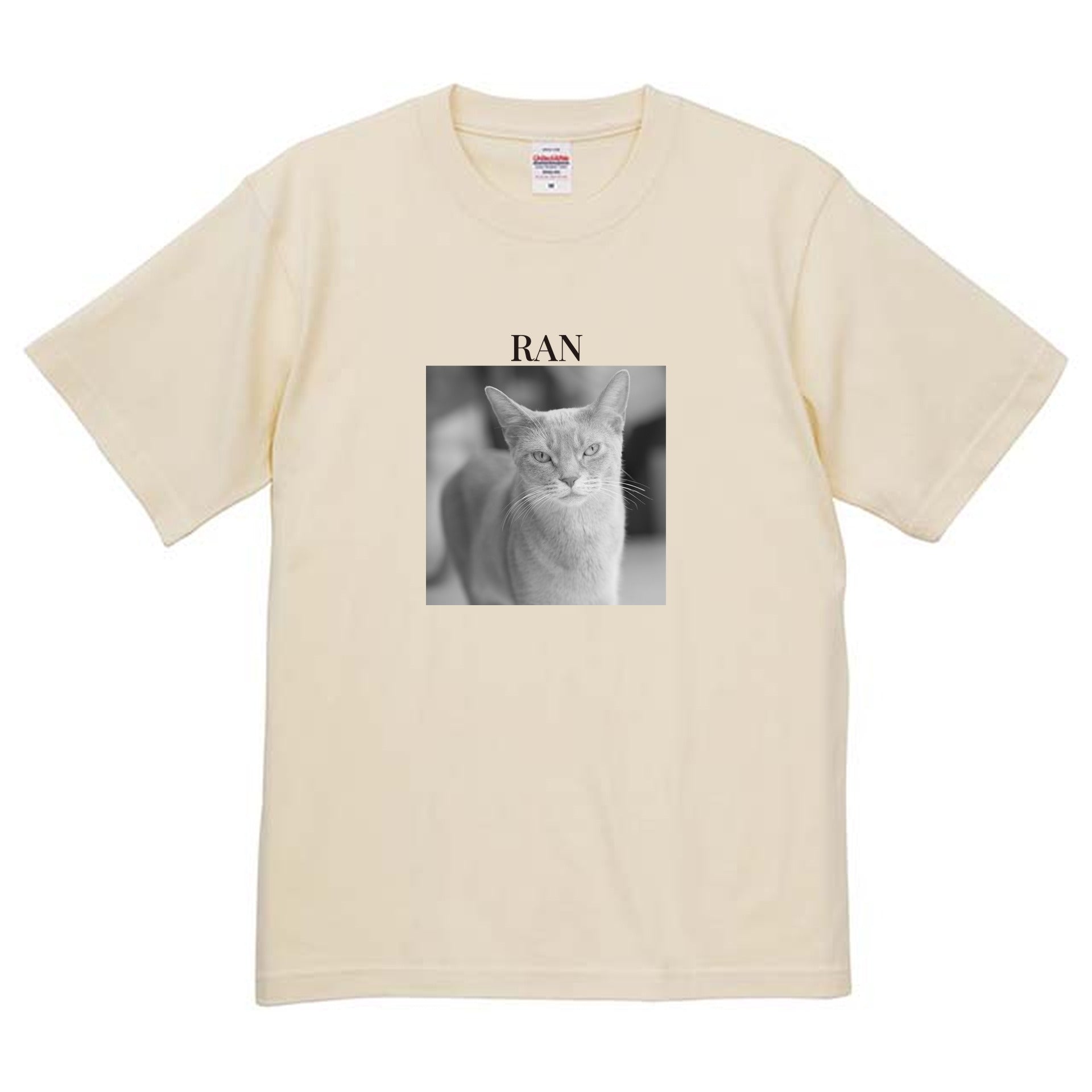 019
