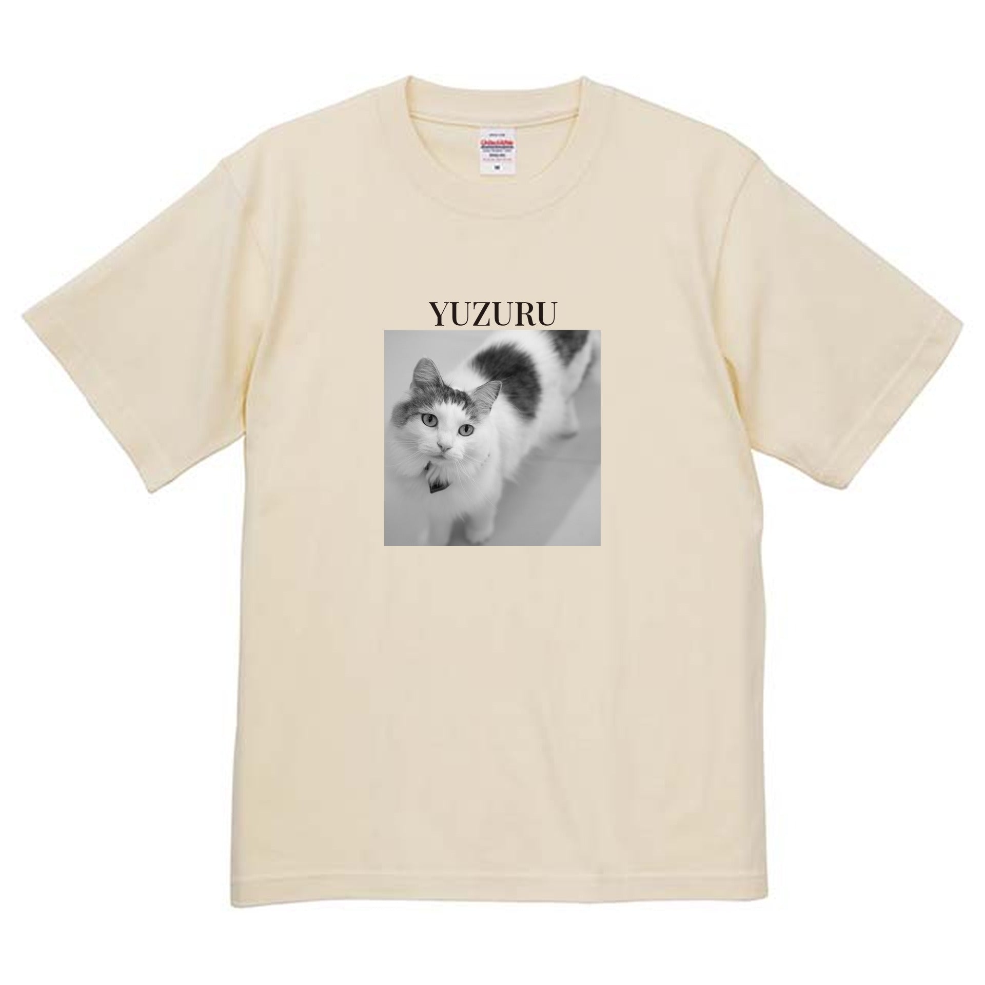 019