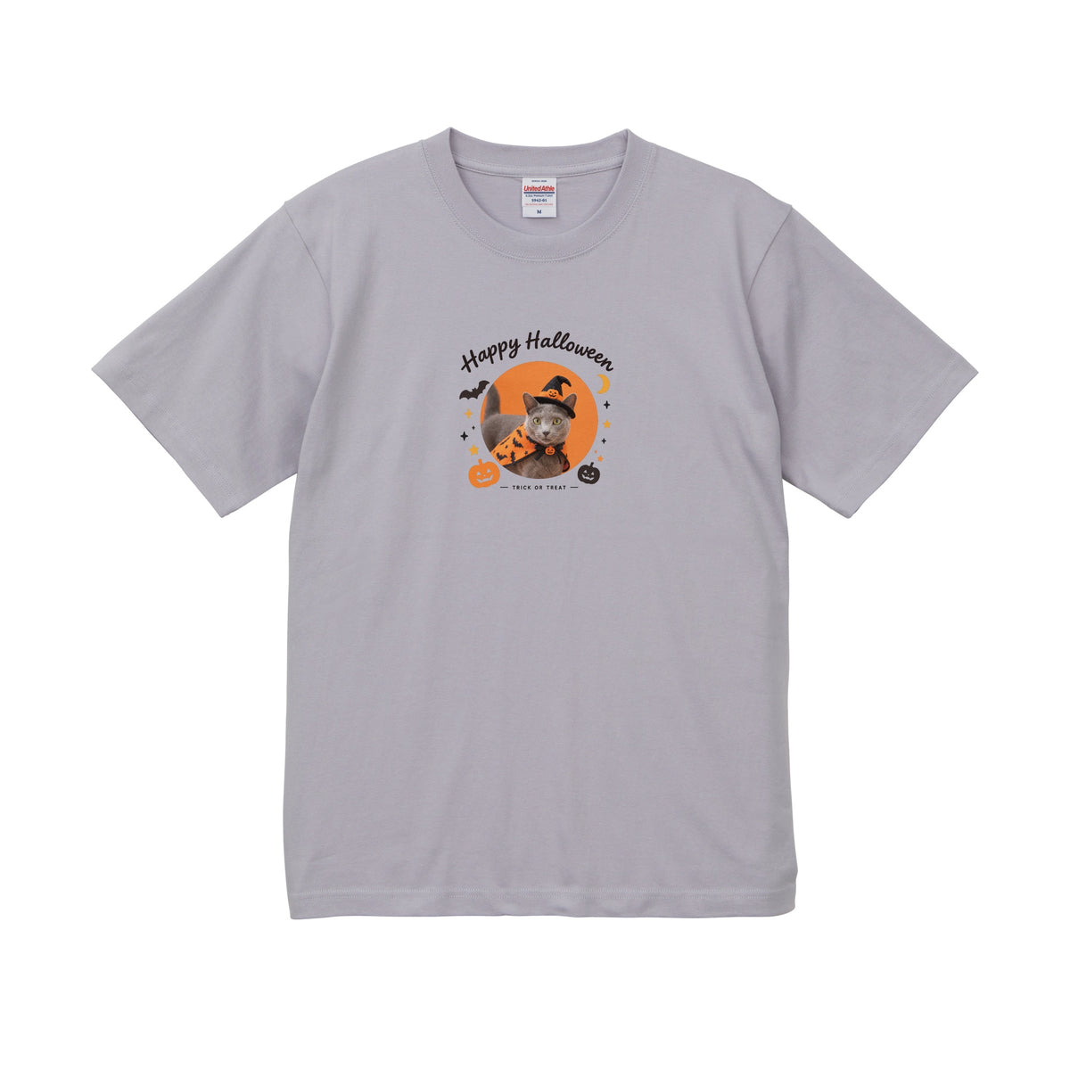 シオン フロストパープル