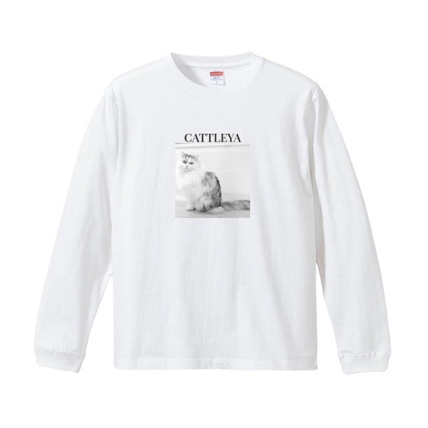 カトレア コットンロングTシャツ