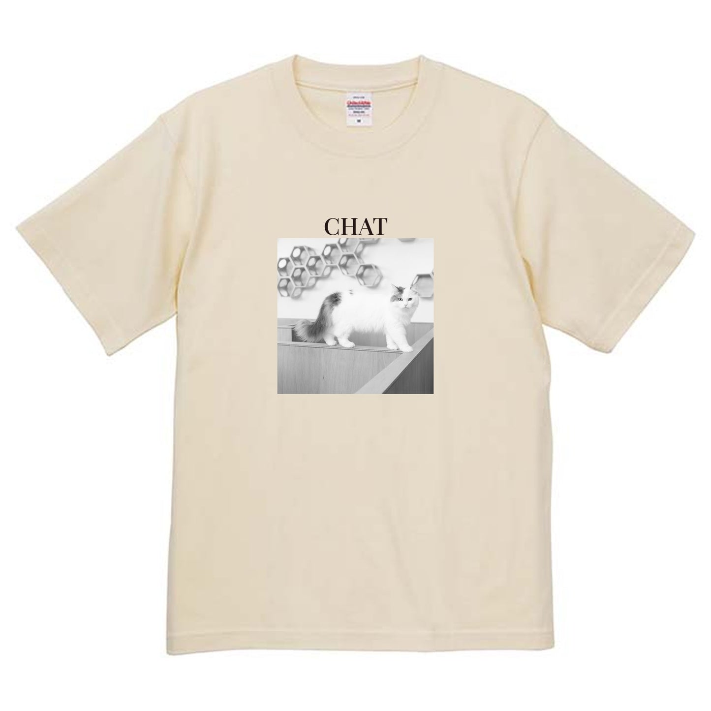 019