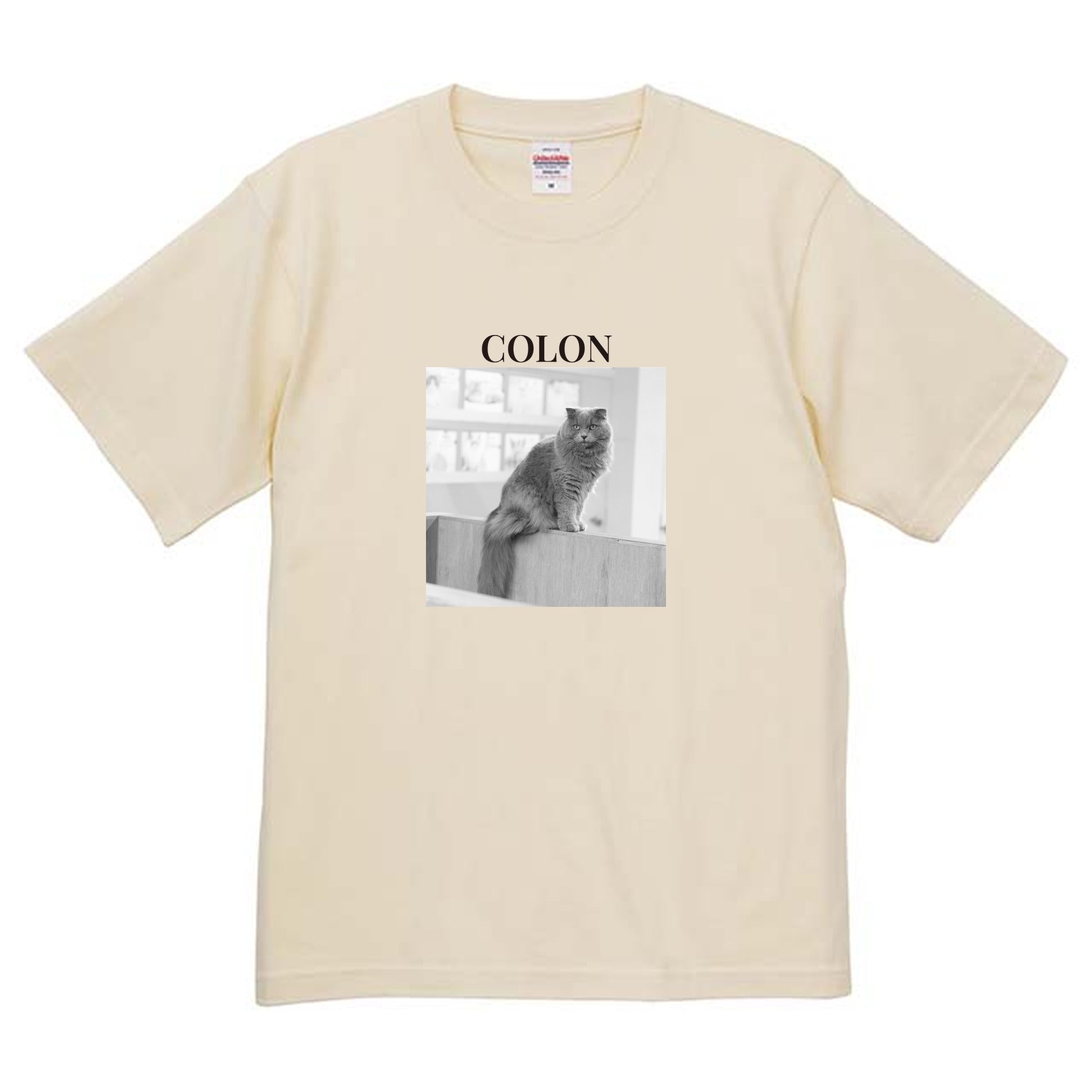 019