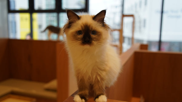 ユナ の写真
