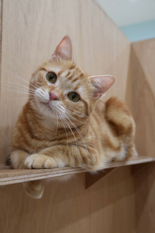 ユウト の写真