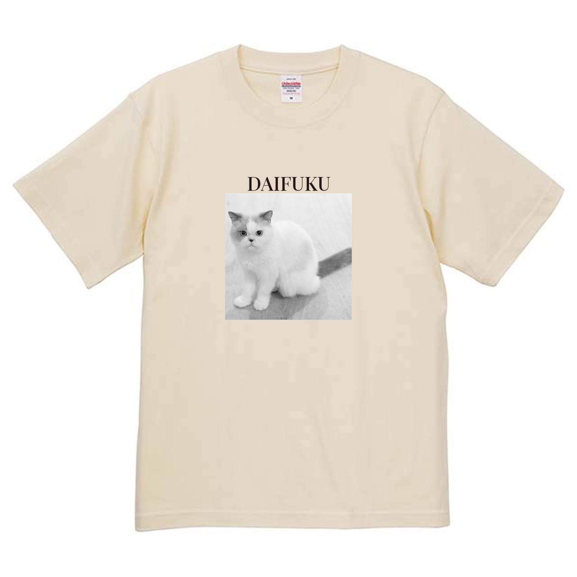 019
