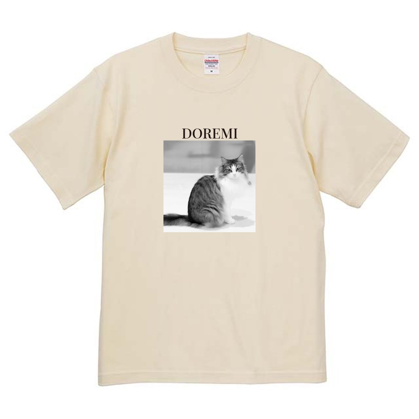 019