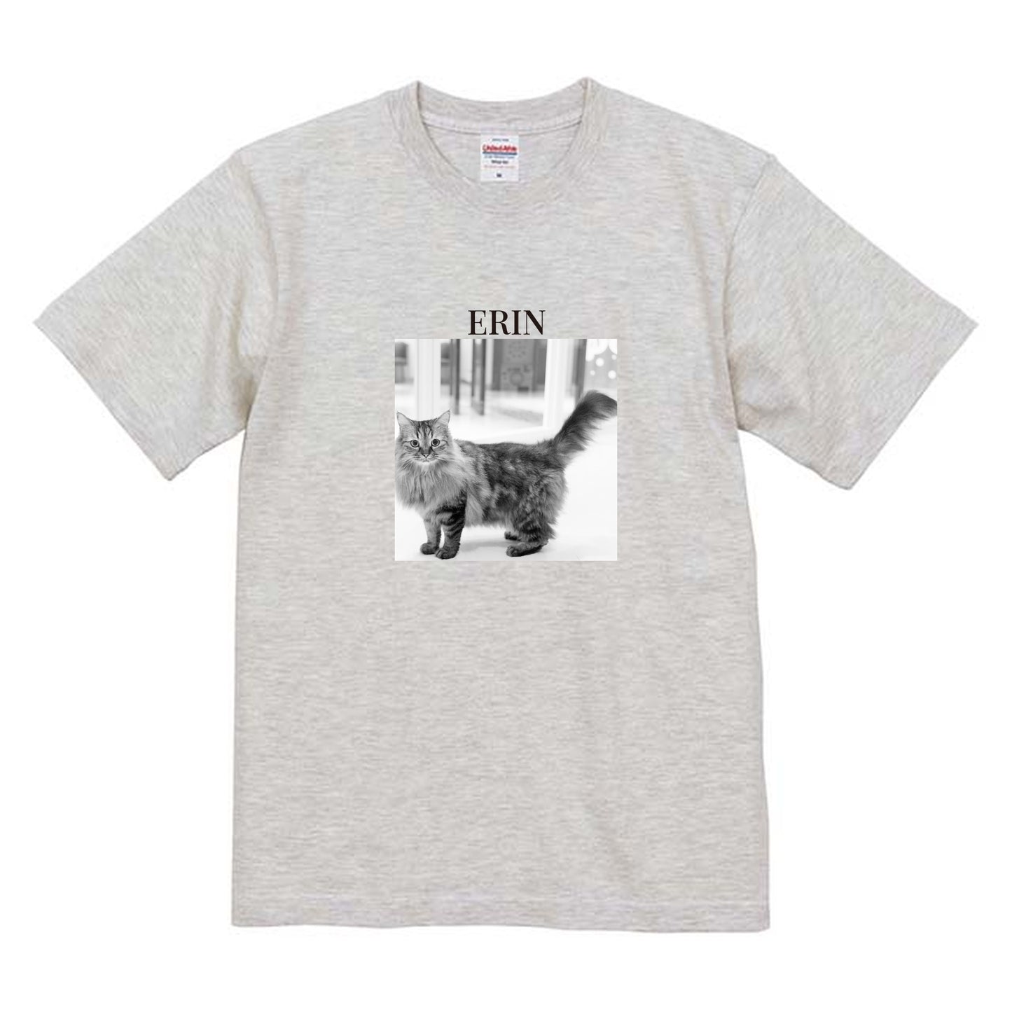 009