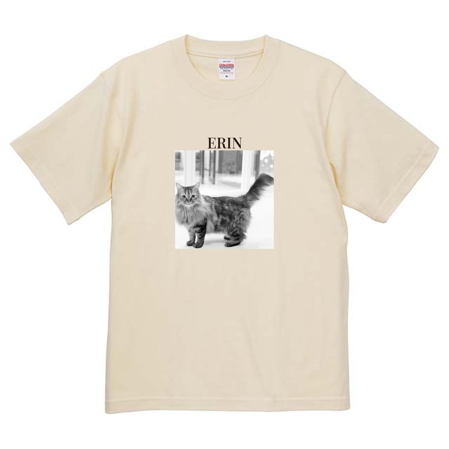 019