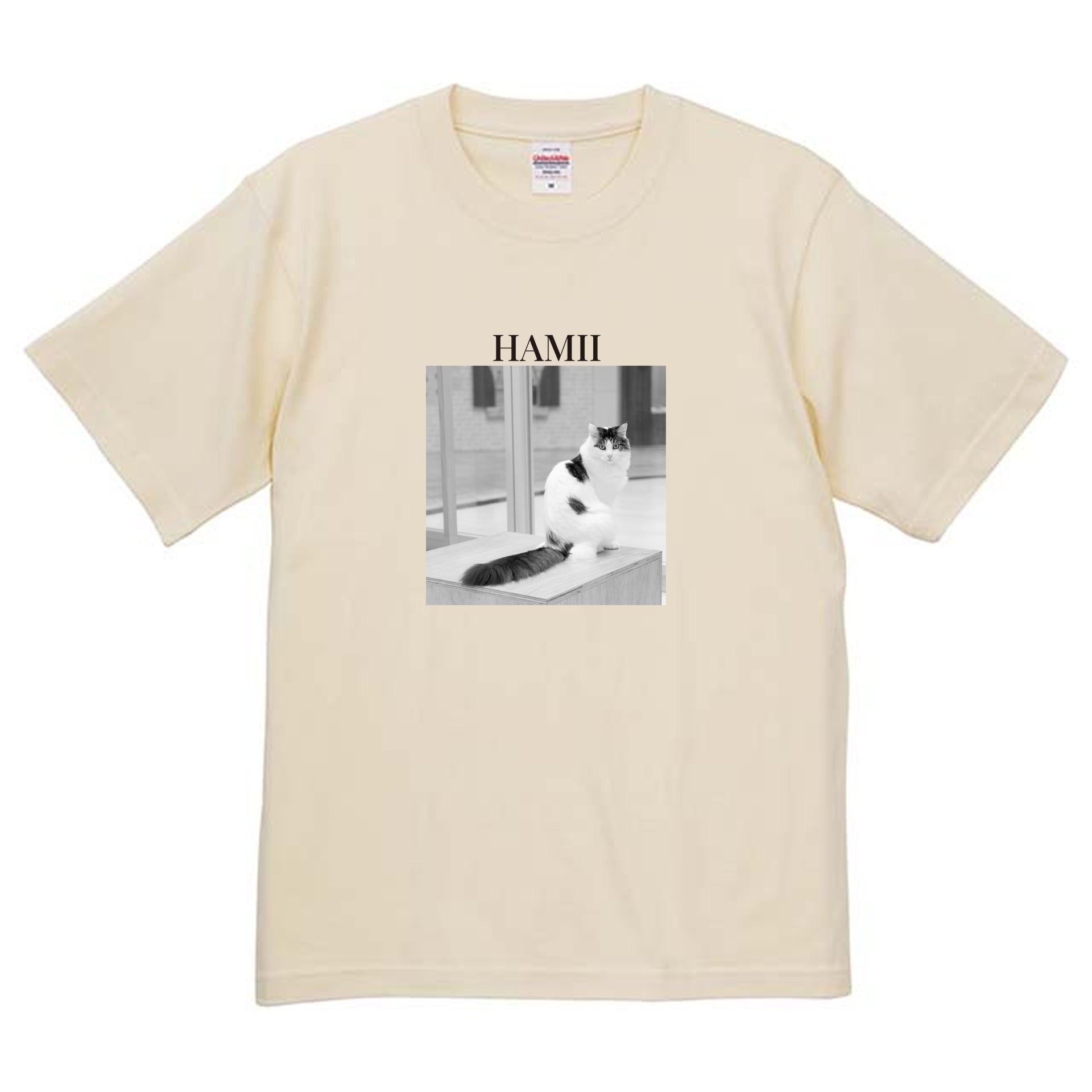 019