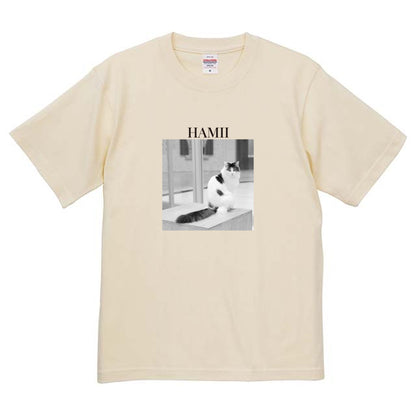 019