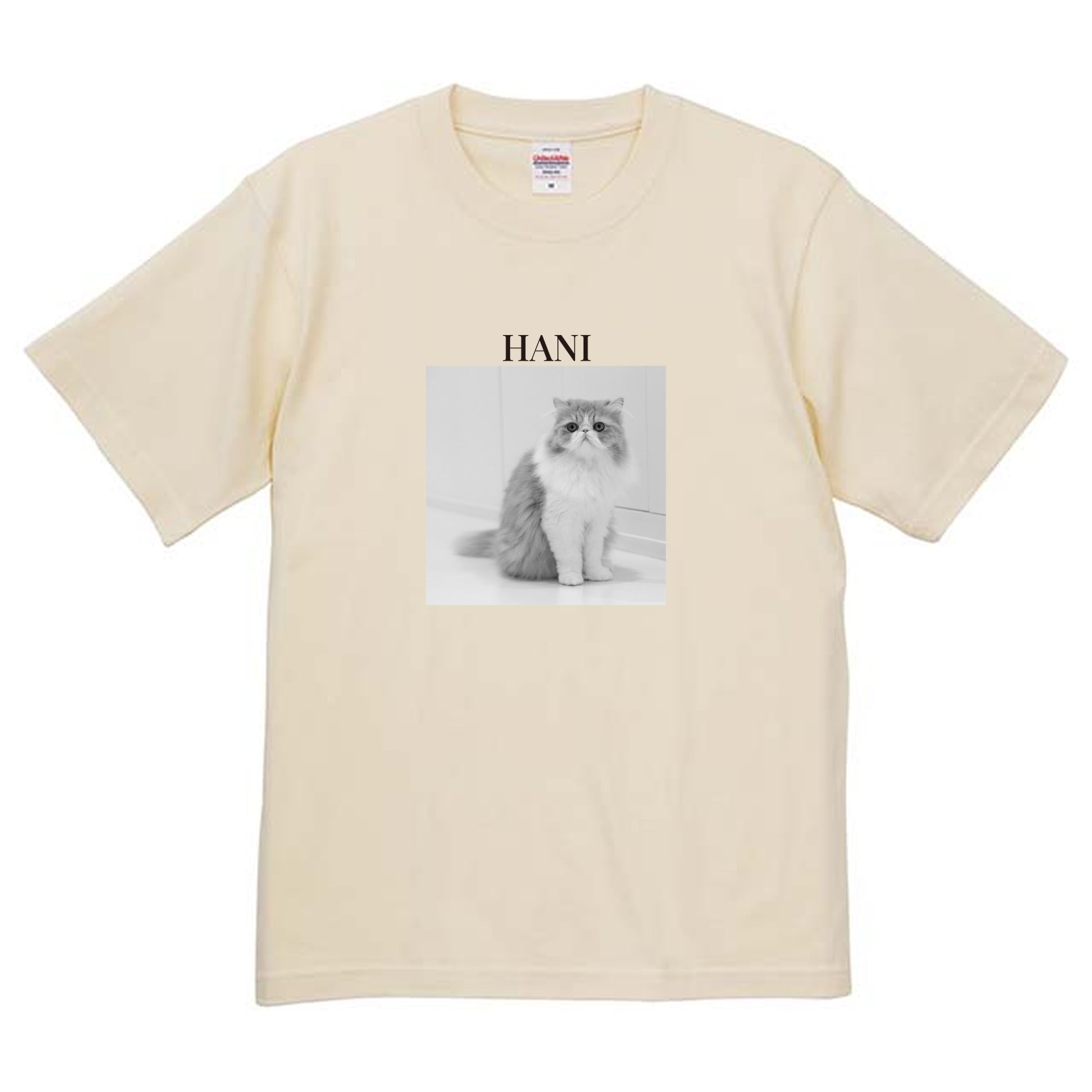 019