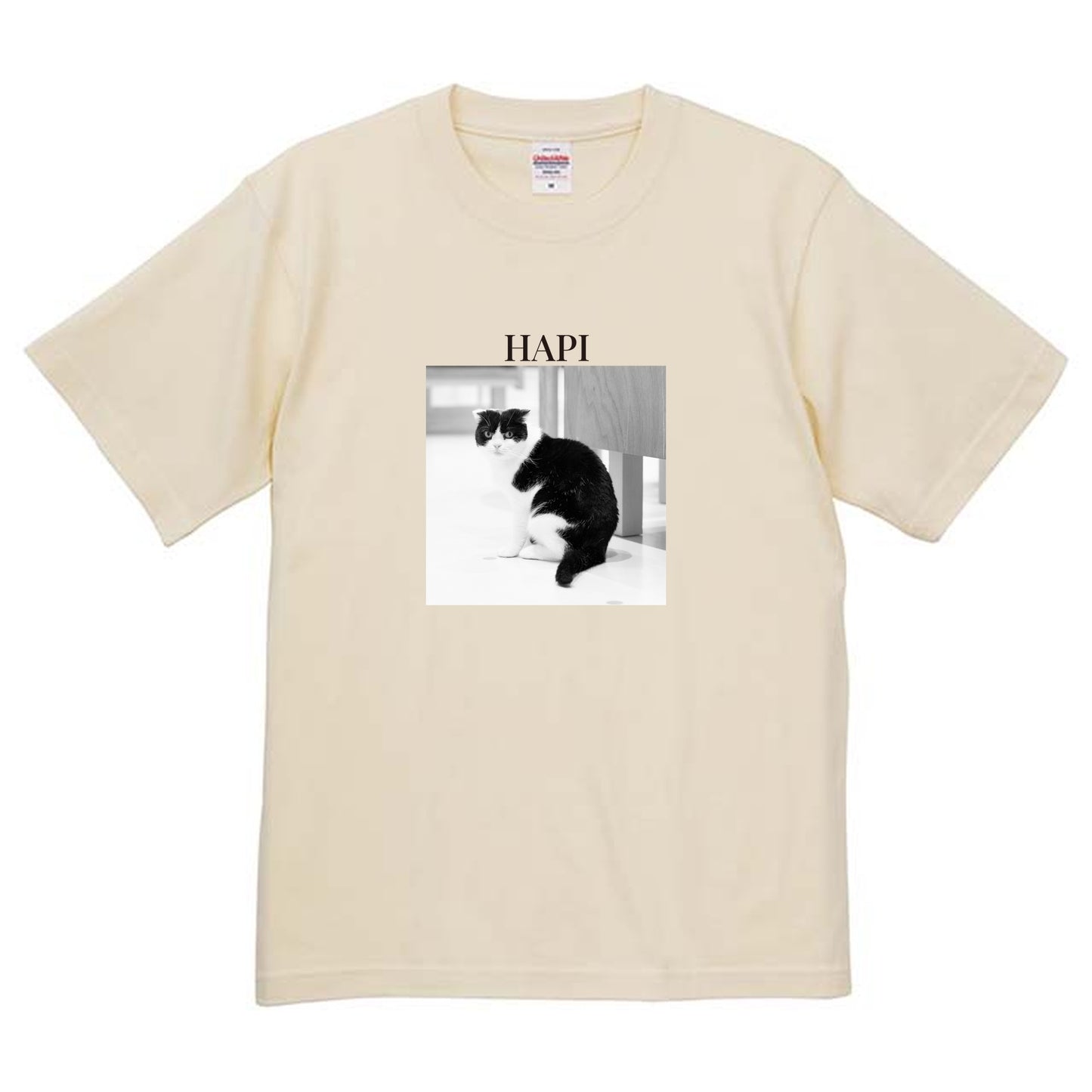 019