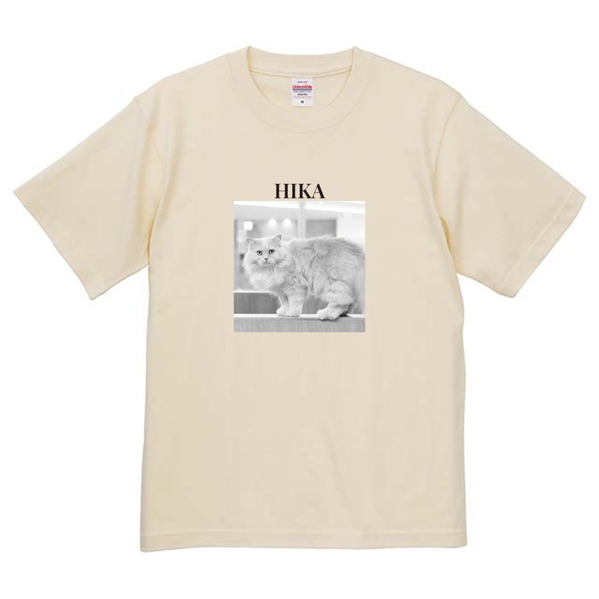 019