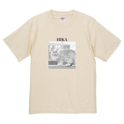 019