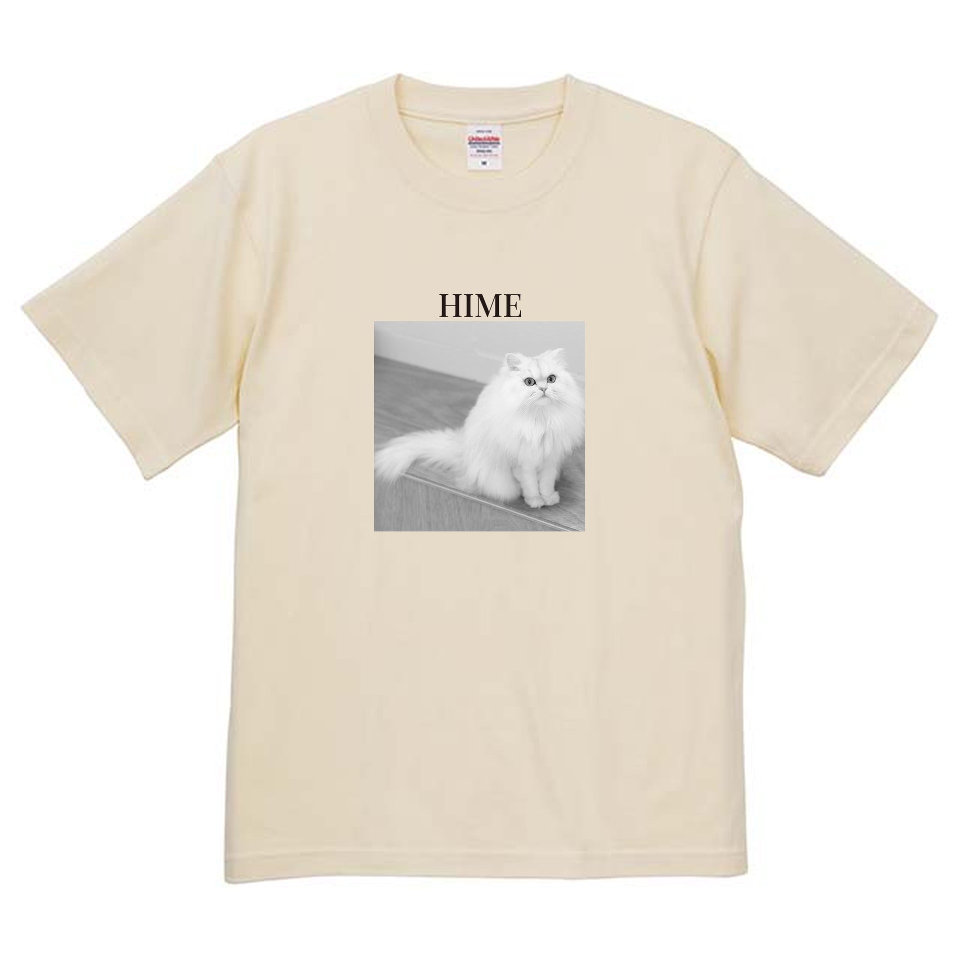 019