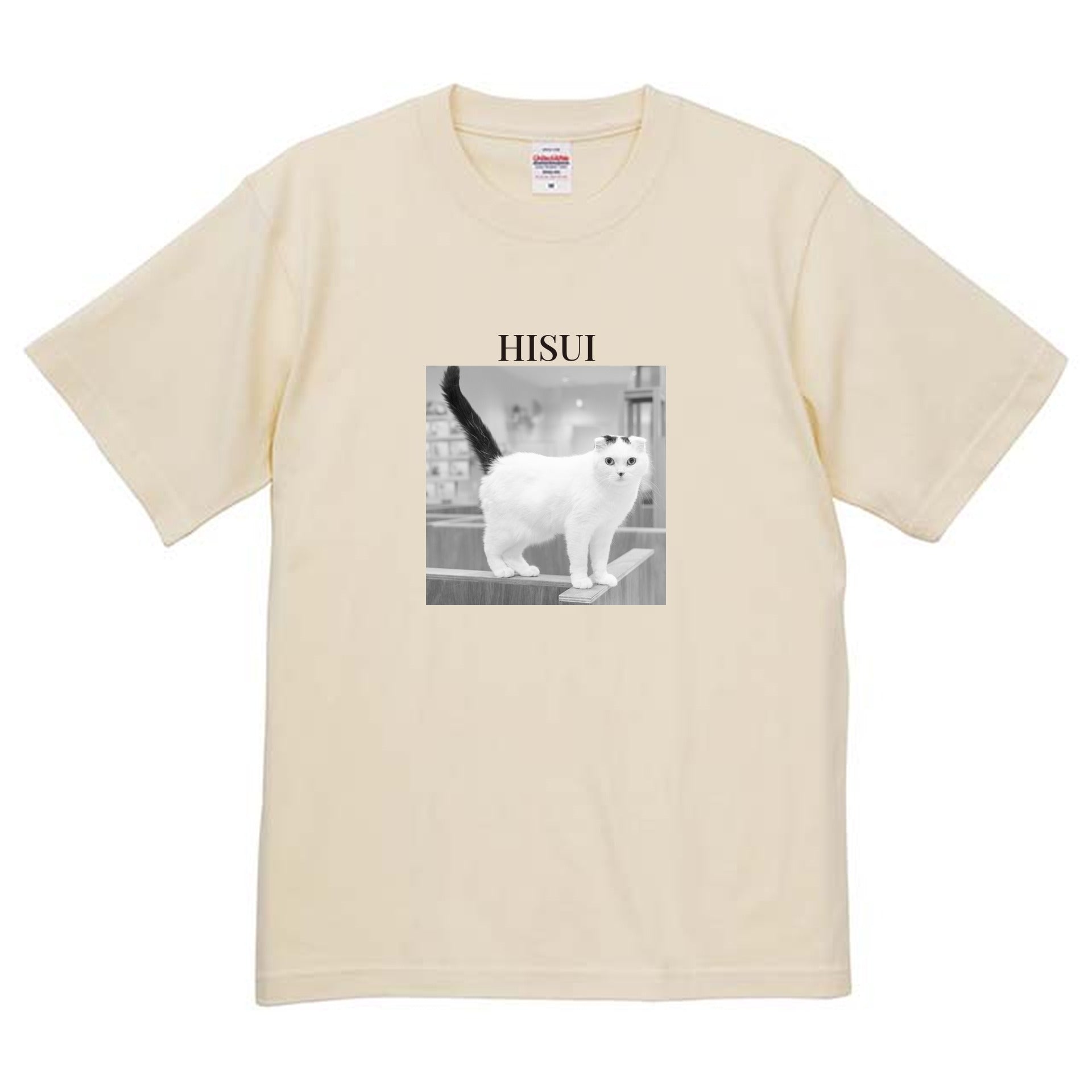 019