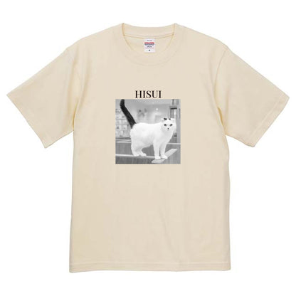 019