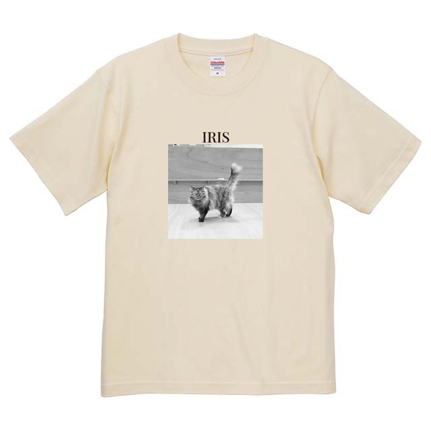 019