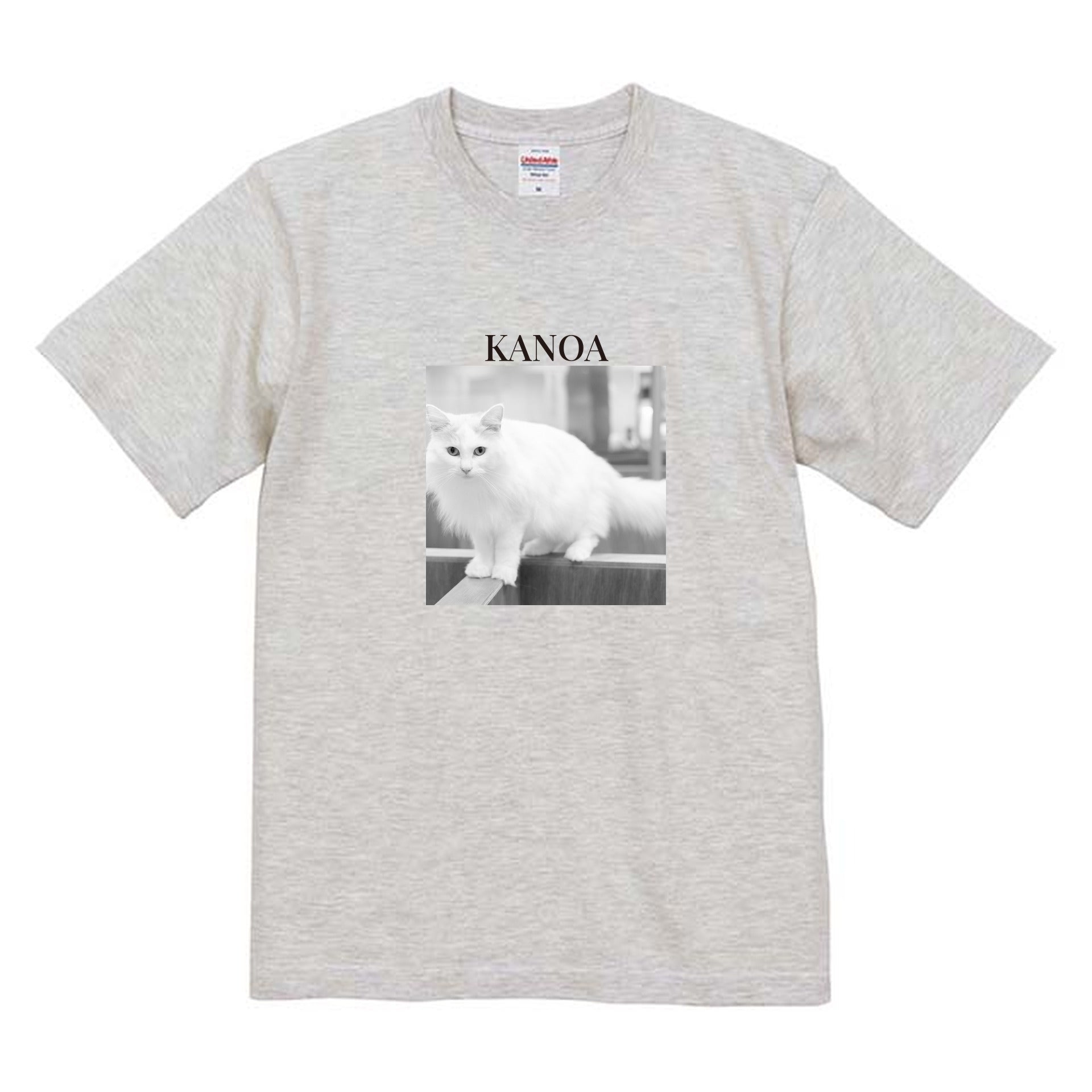 009