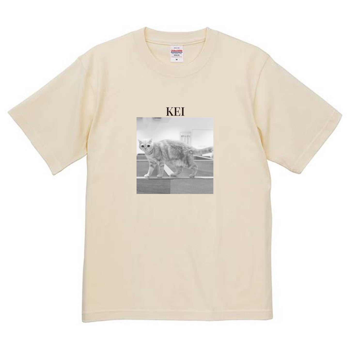 019