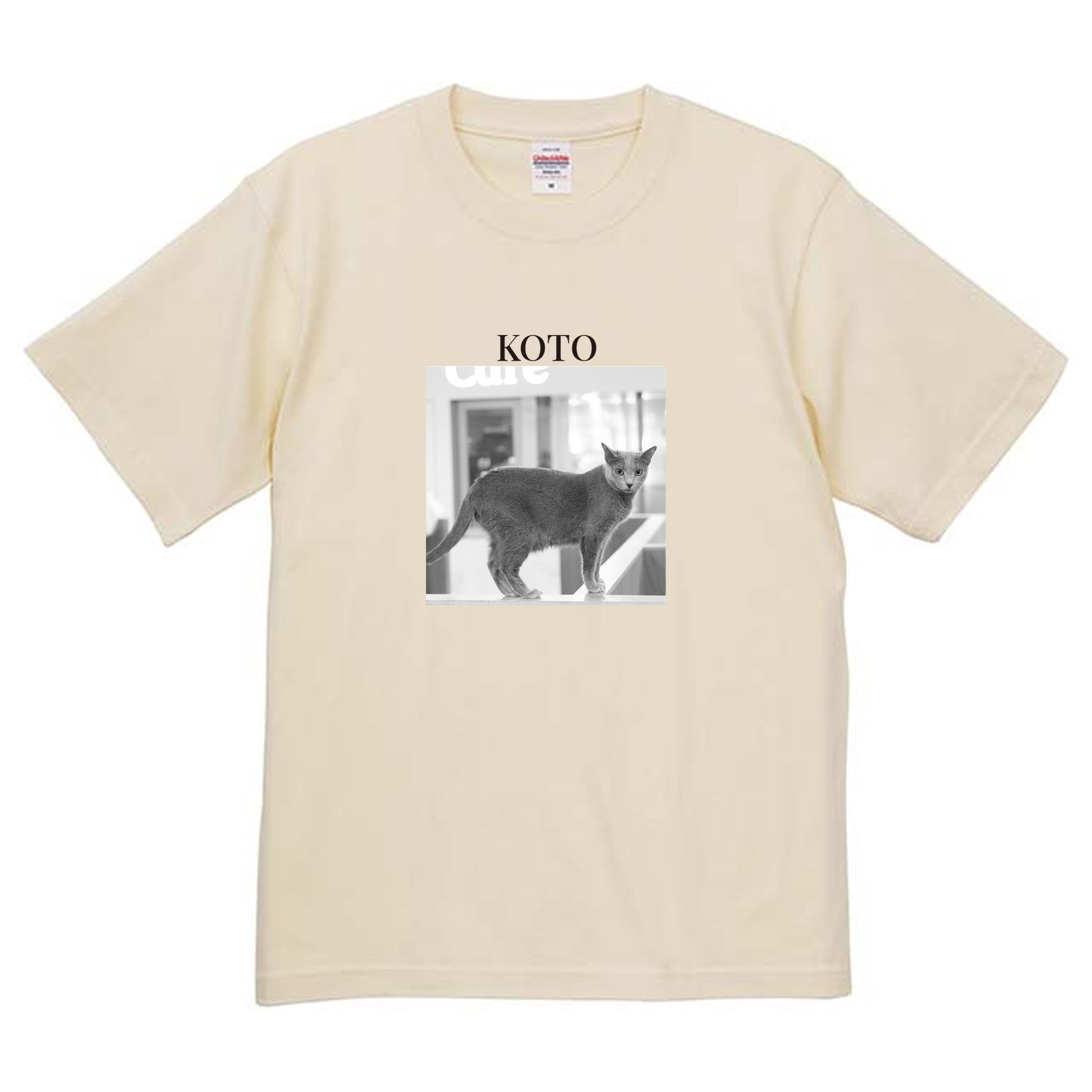 019
