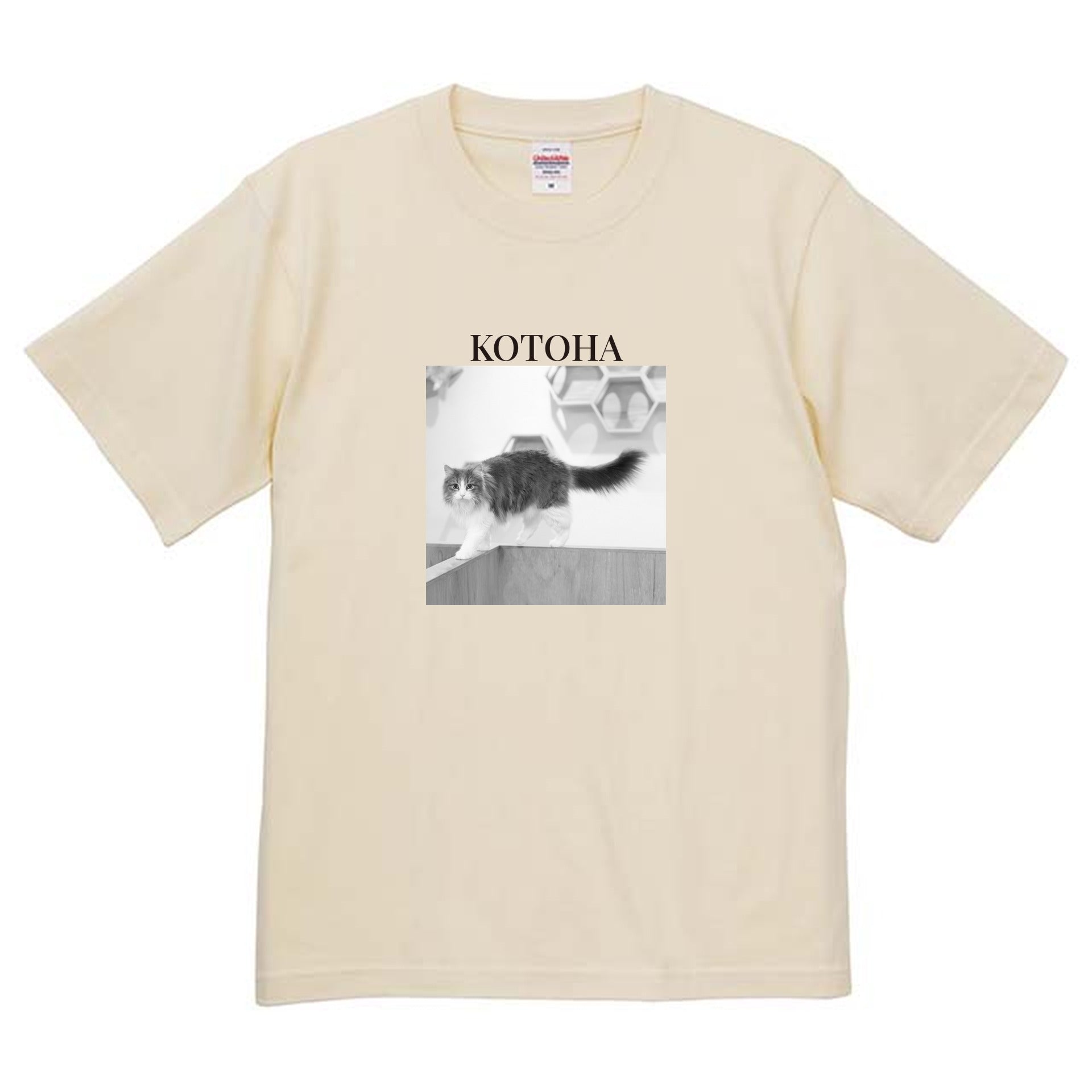 019