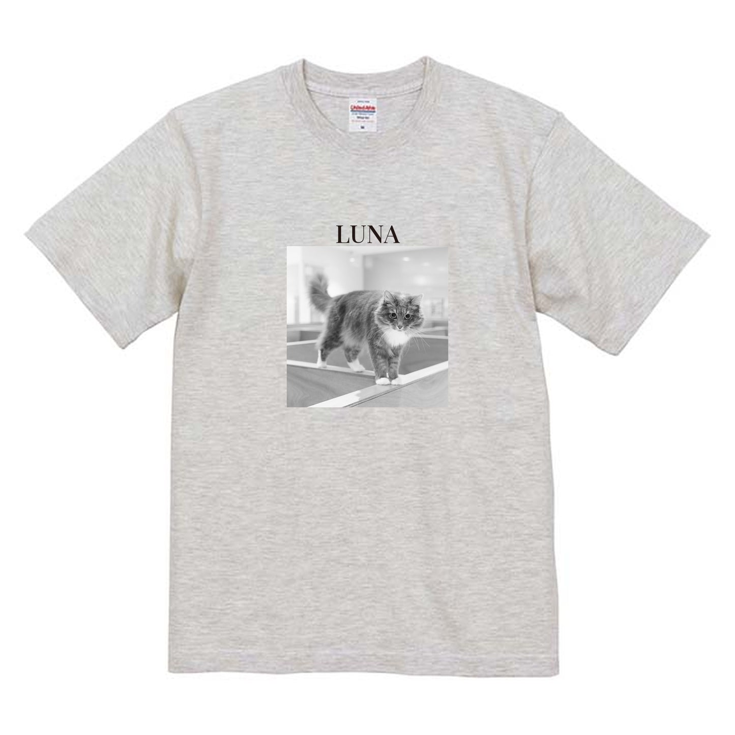 009