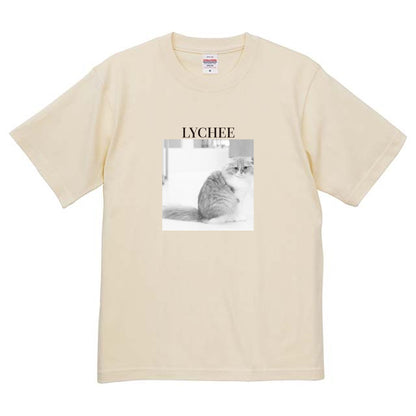 019