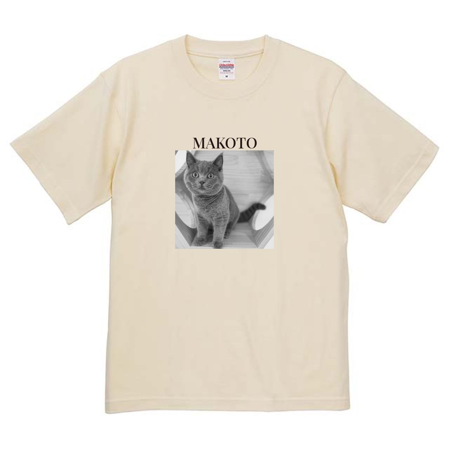 019