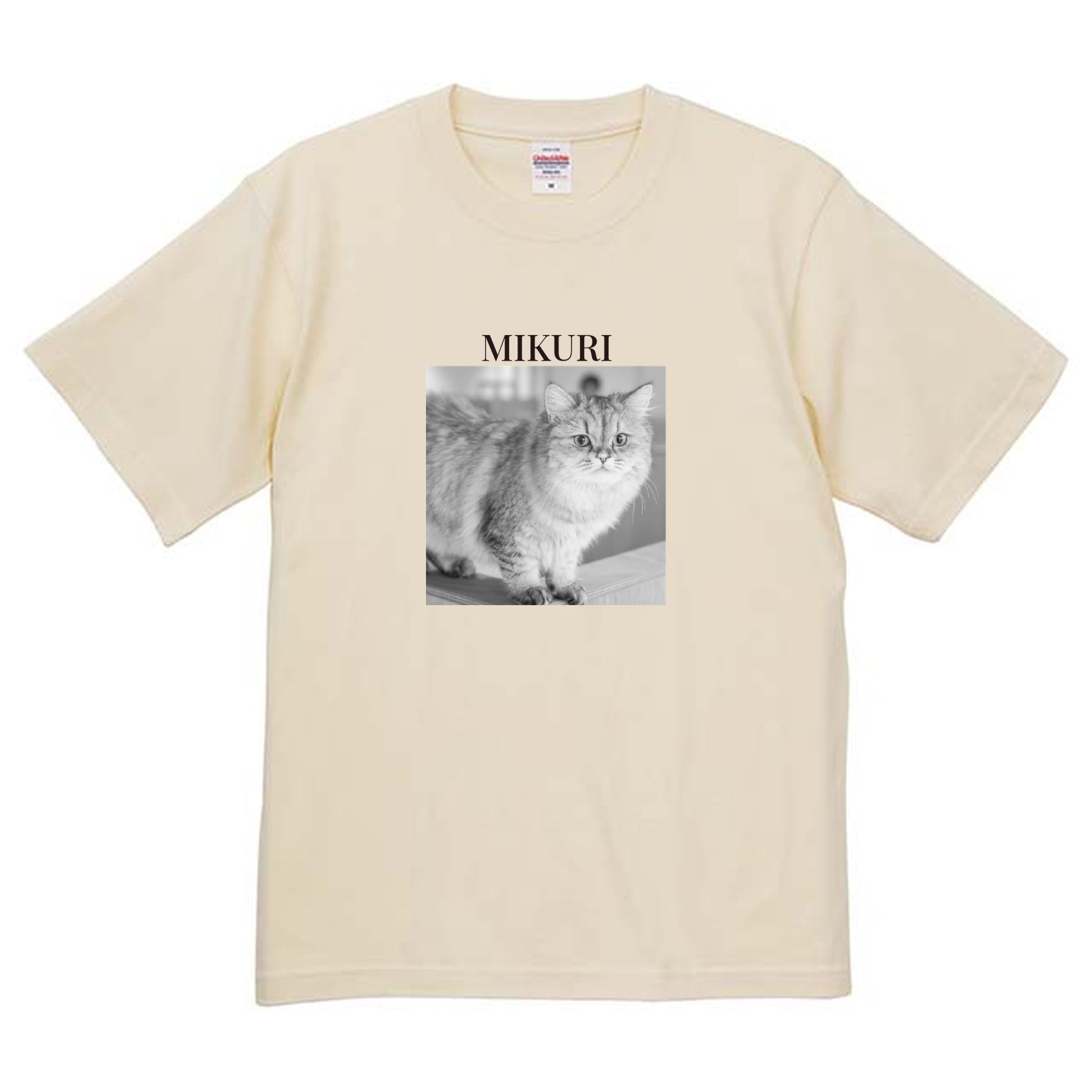 019