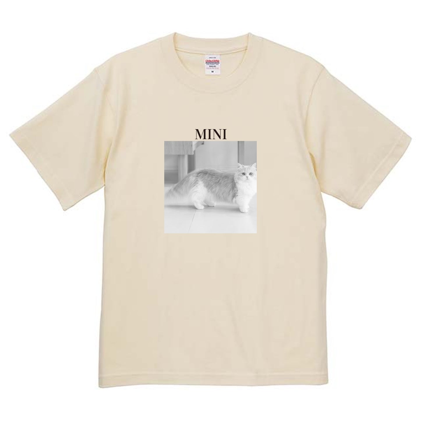 019