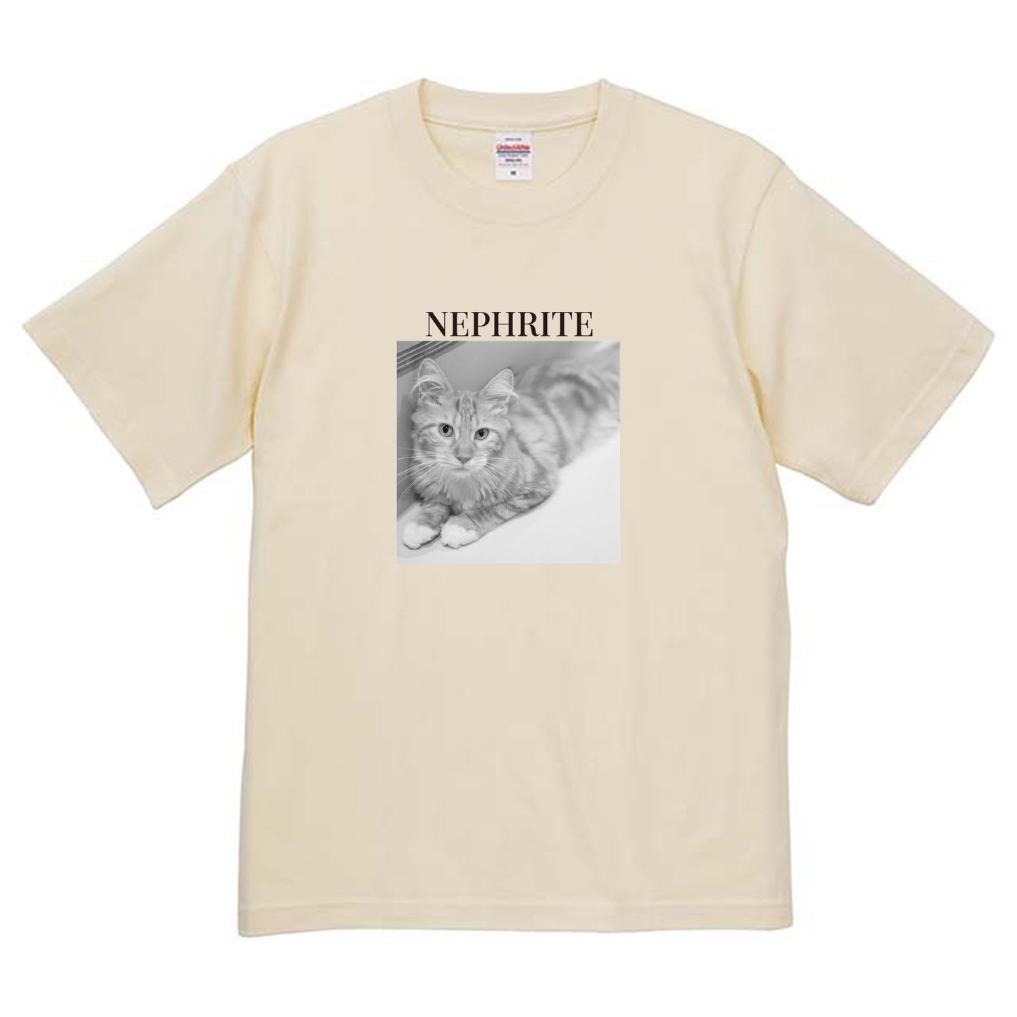 019