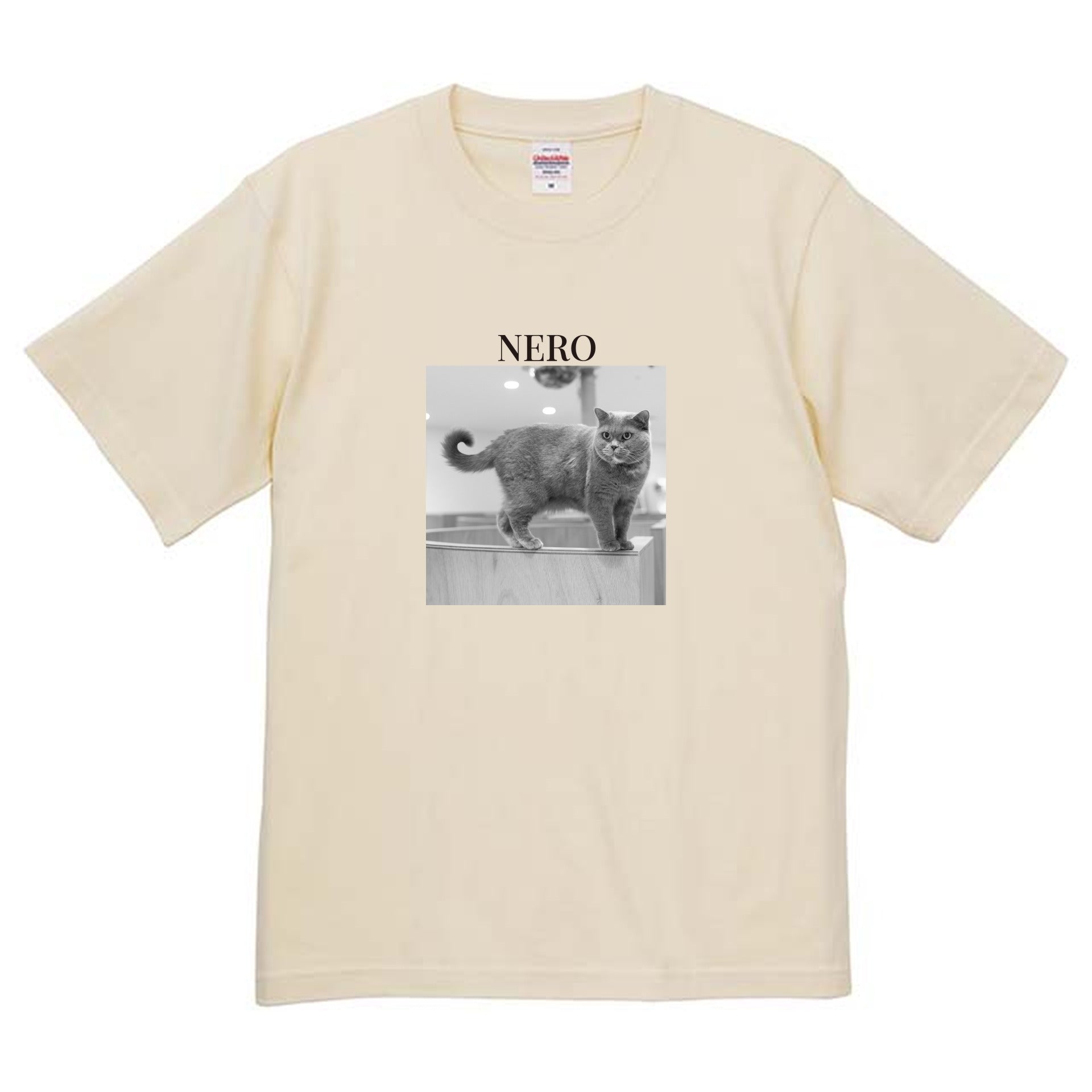 019