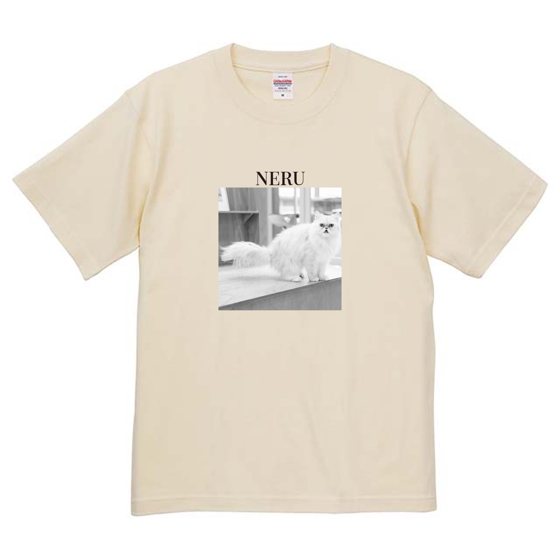 019